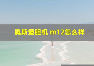 奥斯堡胆机 m12怎么样